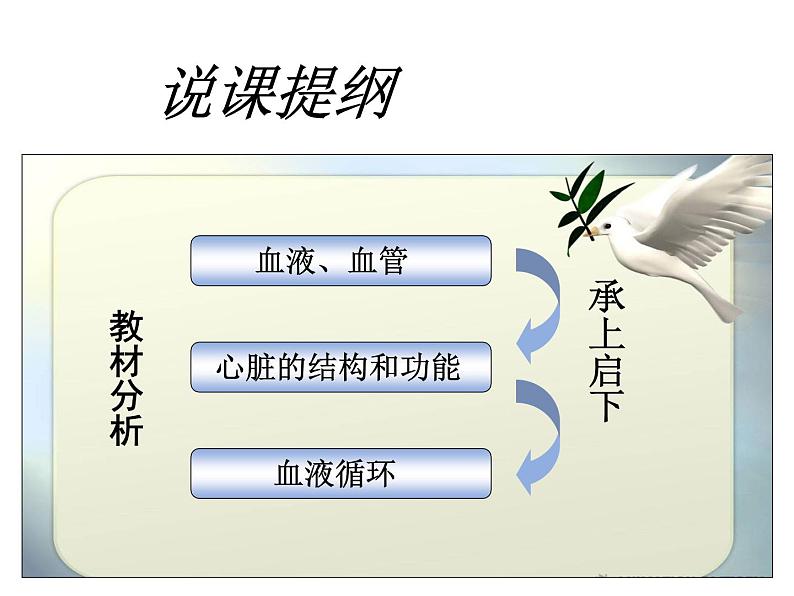 苏教版七下生物 10.2人体内的血液循环  说课课件第2页