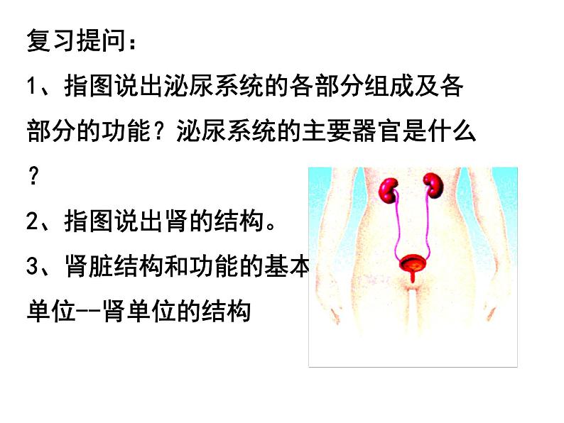 苏教版七下生物 11.2人体废物的排出 课件第1页