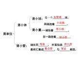 苏教版七下生物 11.2人体废物的排出 课件