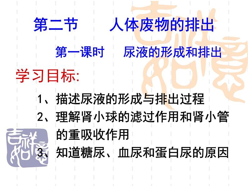 苏教版七下生物 11.2人体废物的排出 课件第4页