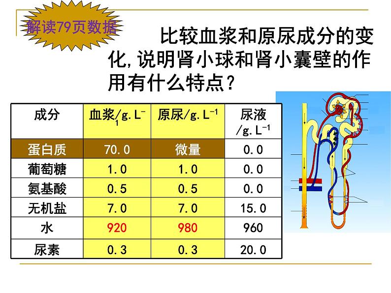 苏教版七下生物 11.2人体废物的排出 课件第6页