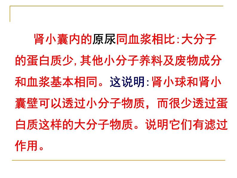 苏教版七下生物 11.2人体废物的排出 课件第7页