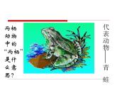 苏教版八下生物 21.4两栖类的生殖与发育 课件