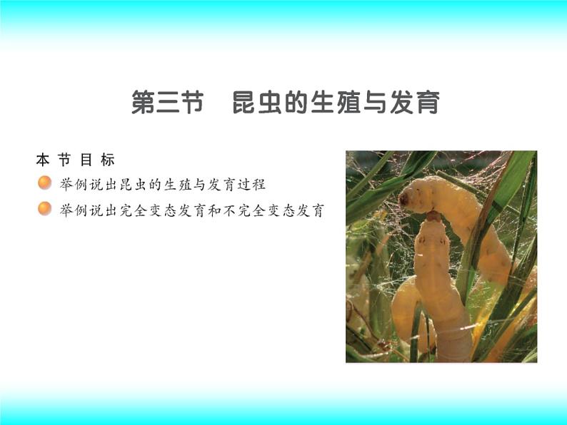 苏教版八下生物 21.3昆虫的生殖与发育 课件01