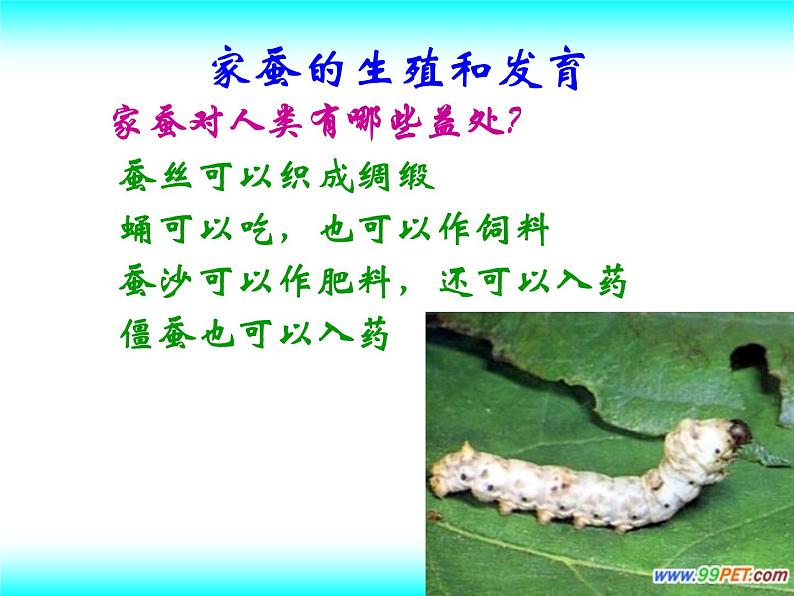 苏教版八下生物 21.3昆虫的生殖与发育 课件06