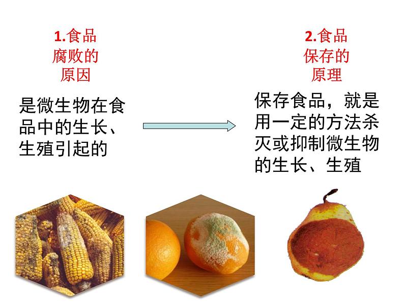 苏教版八下生物 23.2食品保存 课件06