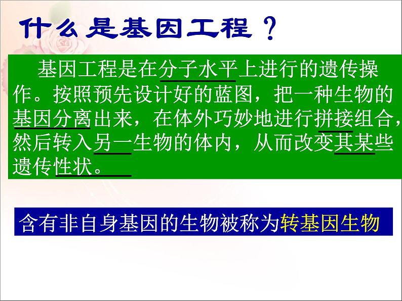 苏教版八下生物 24.1现代生物技术的应用 课件第6页