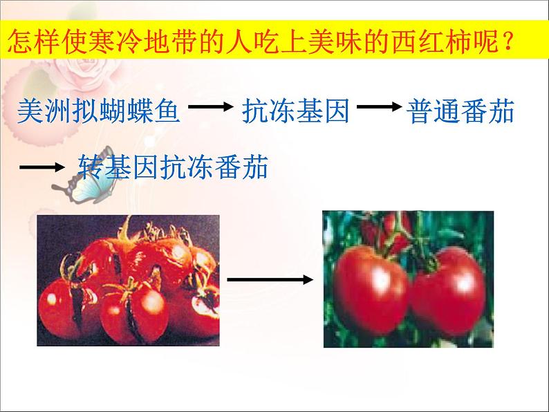 苏教版八下生物 24.1现代生物技术的应用 课件第7页