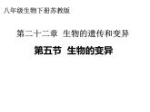 苏教版八下生物 22.5生物的变异 课件