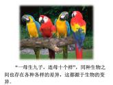 苏教版八下生物 22.5生物的变异 课件