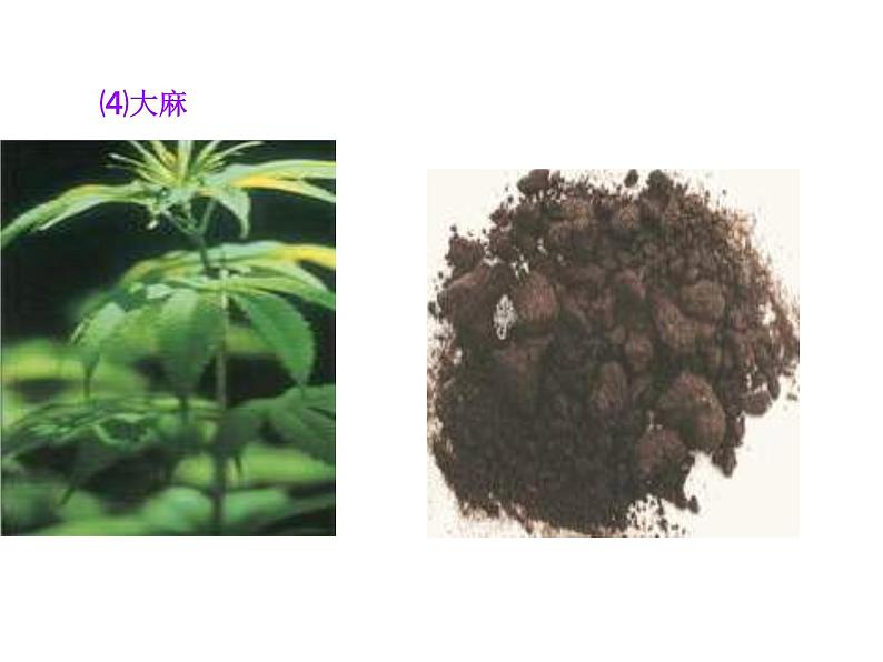 苏教版八下生物 26.2拒绝毒品 课件第8页