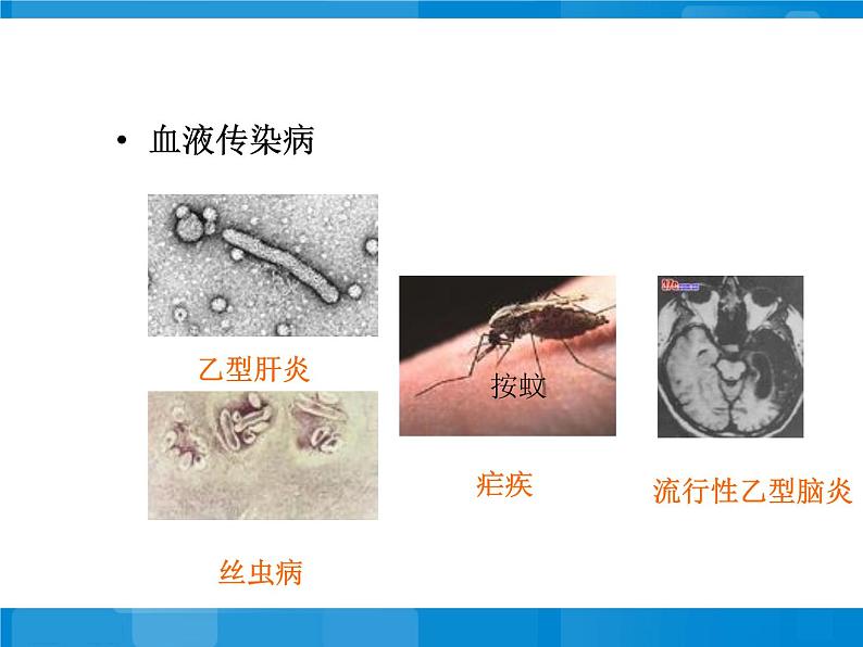 苏教版八下生物 25.1传染病 课件第5页