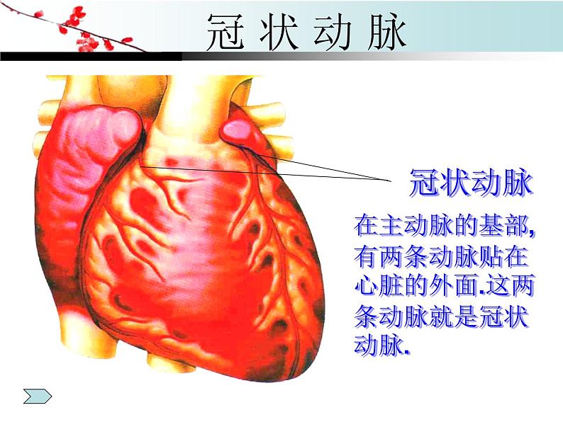 苏教版八下生物 25.2威胁健康的主要疾病 课件第6页