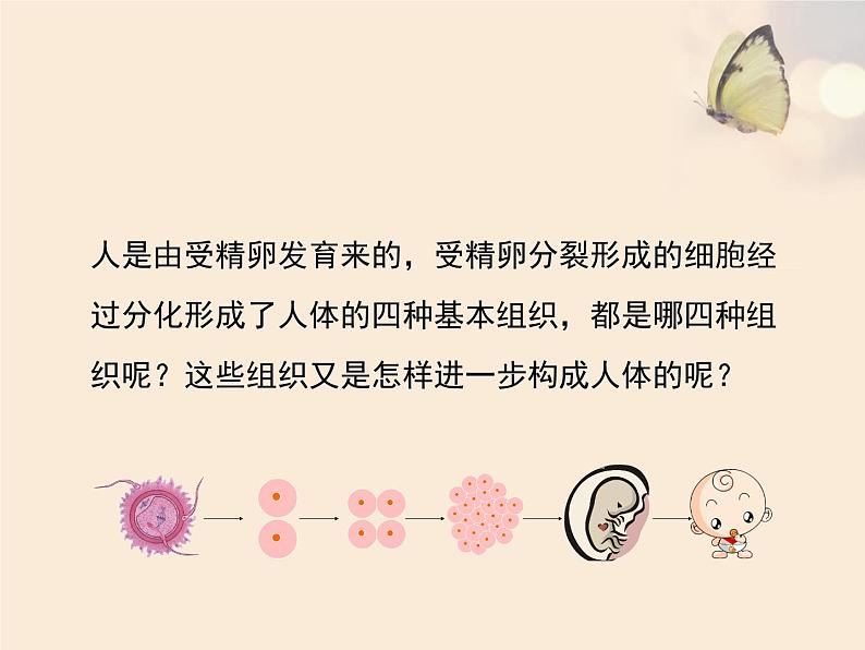 苏科版七下生物　9.2 人体的组成 课件第2页