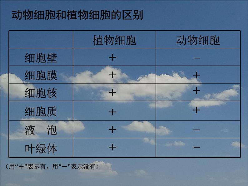 苏科版七下生物　8.1 生物体的基本结构 课件07