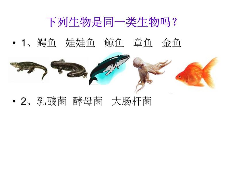 苏科版七下生物　14.1 生物的命名和分类 课件第4页