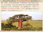 苏科版七下生物　11.1 地面上的植物 课件