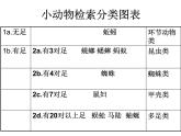 苏科版七下生物　13.1 土壤里的小动物 课件
