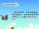 苏科版七下生物　12.2 昆虫 课件