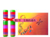 苏科版八下生物  22.1 生物的遗传 课件