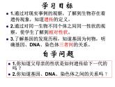 苏科版八下生物  22.1 生物的遗传 课件