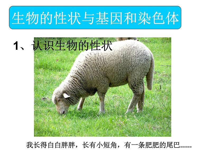 苏科版八下生物  22.1 生物的遗传 课件08