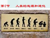 苏科版八下生物  23.4 人类的起源和进化 课件