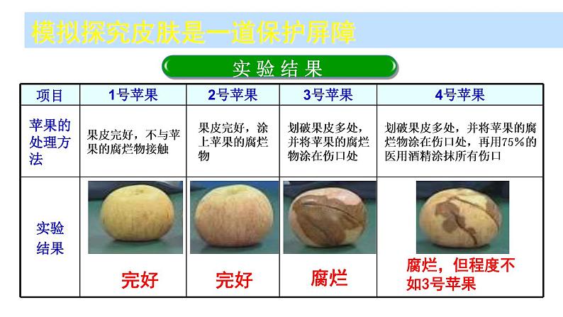 苏科版八下生物  24.1 人体的免疫防线 课件第8页