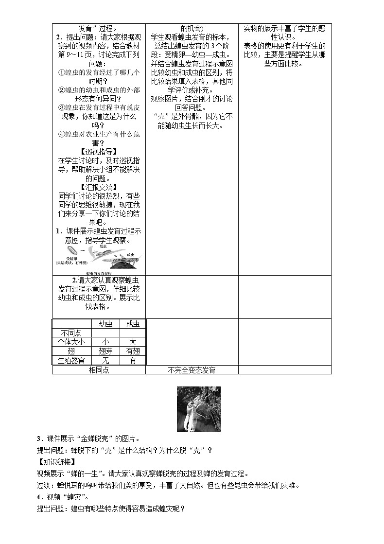 鲁科版（五四制）八年级下册生物 8.1.2昆虫的生殖和发育 教案03