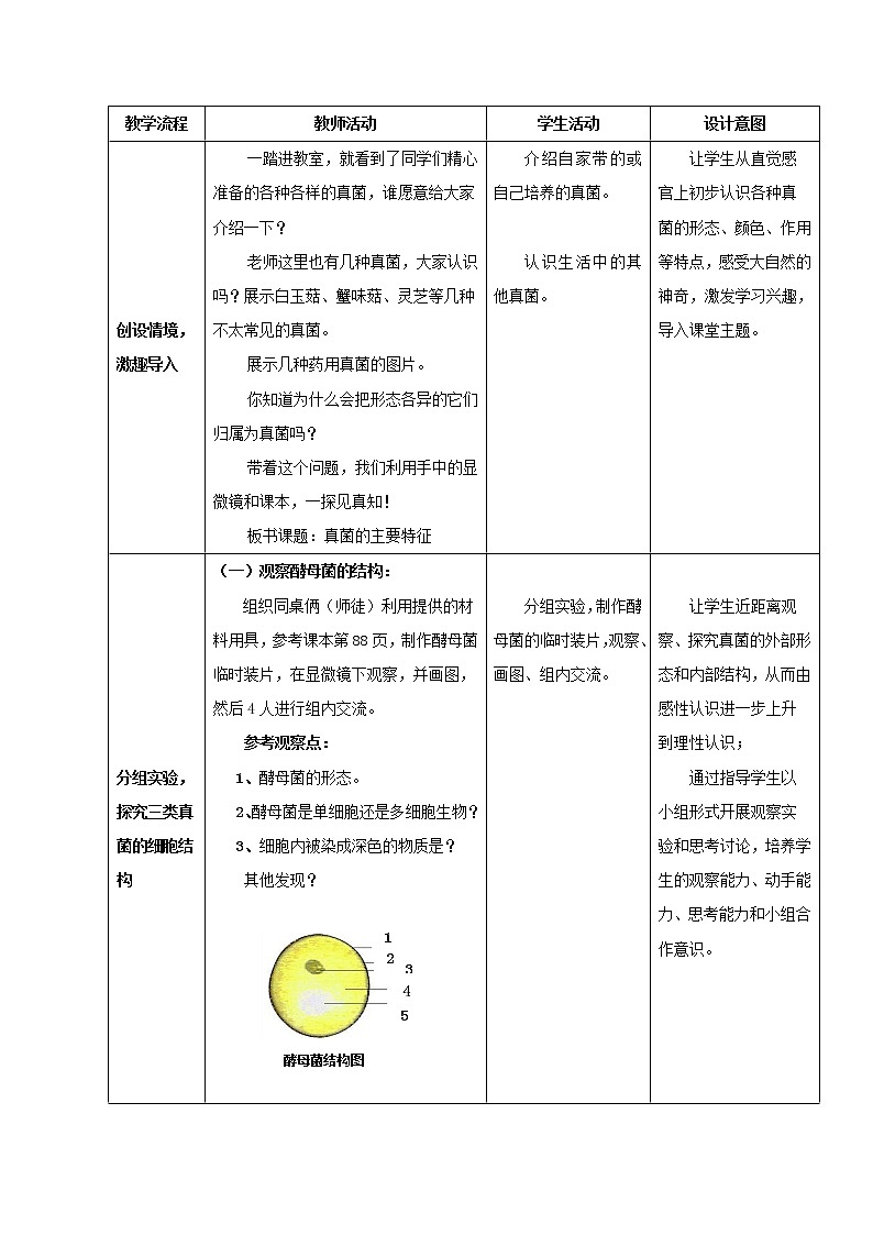 鲁科版（五四制）七年级生物 6.1.3真菌  教案02