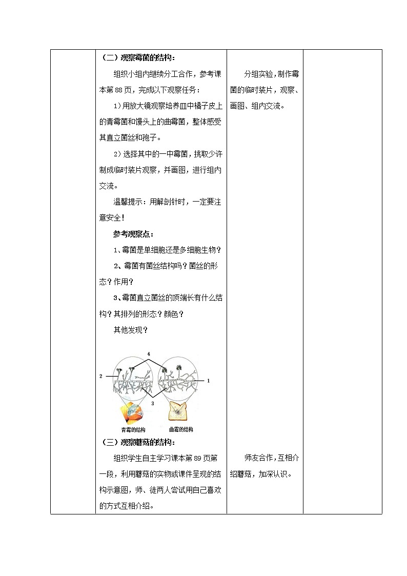 鲁科版（五四制）七年级生物 6.1.3真菌  教案03