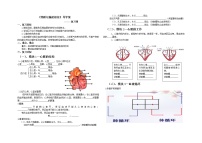 冀教版七年级下册心脏导学案