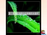 绿色植物与生物圈的水循环课件PPT