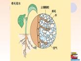 绿色植物与生物圈的水循环课件PPT