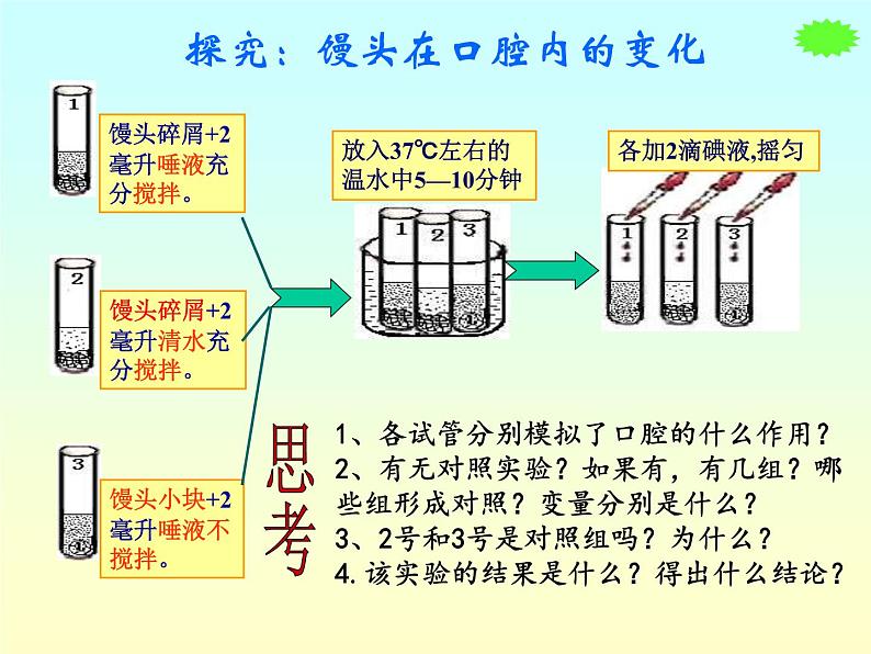 2.2消化和吸收1课件PPT第7页