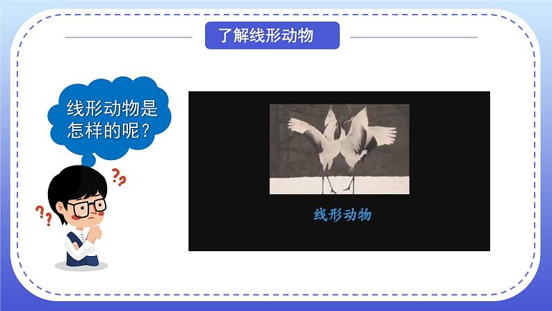 1.2《线形动物和环节动物》教案+课件04