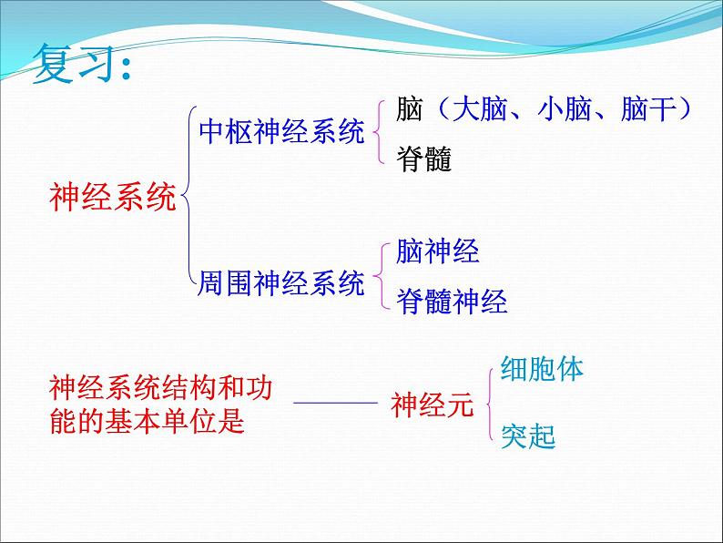 京改版生物七年级下册 8.2 神经调节的基本方式  课件第2页