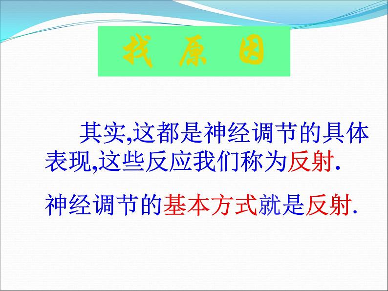 京改版生物七年级下册 8.2 神经调节的基本方式  课件第4页