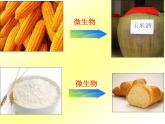 北师大版八下生物 25.1发酵技术 课件