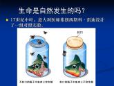 北师大版八下生物 21.1生命的起源 课件