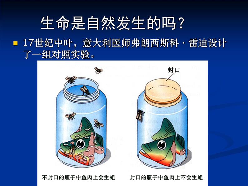 北师大版八下生物 21.1生命的起源 课件03