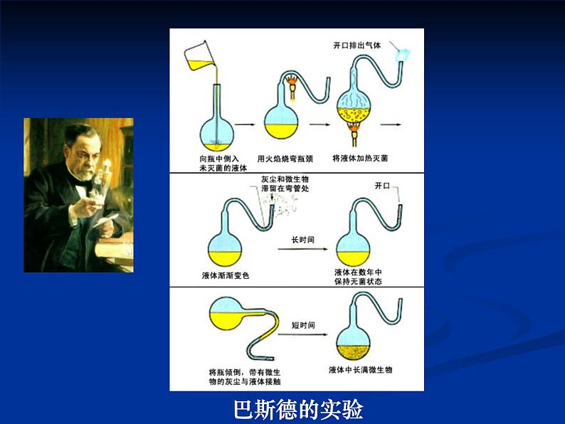 北师大版八下生物 21.1生命的起源 课件04