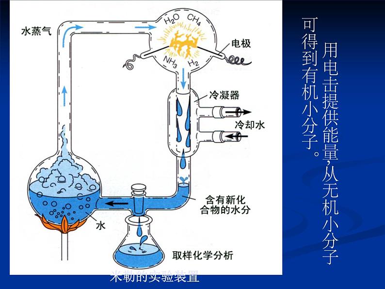 北师大版八下生物 21.1生命的起源 课件08