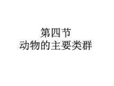 北师大版八下生物 22.4动物的主要类群 课件