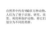 北师大版八下生物 22.4动物的主要类群 课件