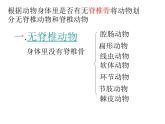 北师大版八下生物 22.4动物的主要类群 课件