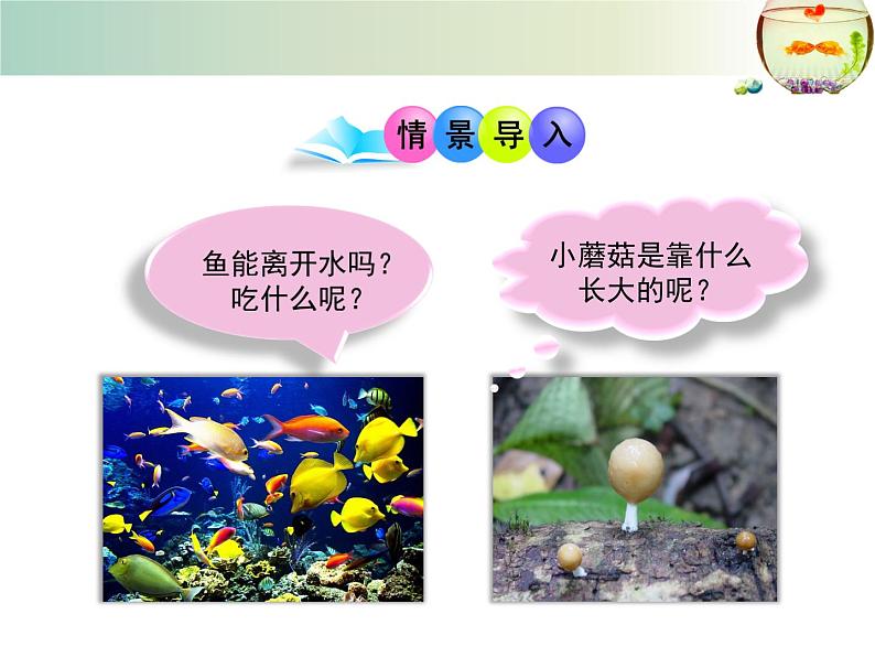 北师大版八下生物 23.1生物的生存依赖一定的环境 课件第2页