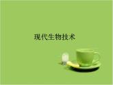 北师大版八下生物 25.2现代生物技术 课件