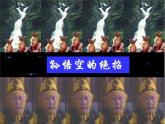 北师大版八下生物 25.2现代生物技术 课件
