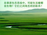 北师大版八下生物 23.4生态系统的稳定性 课件
